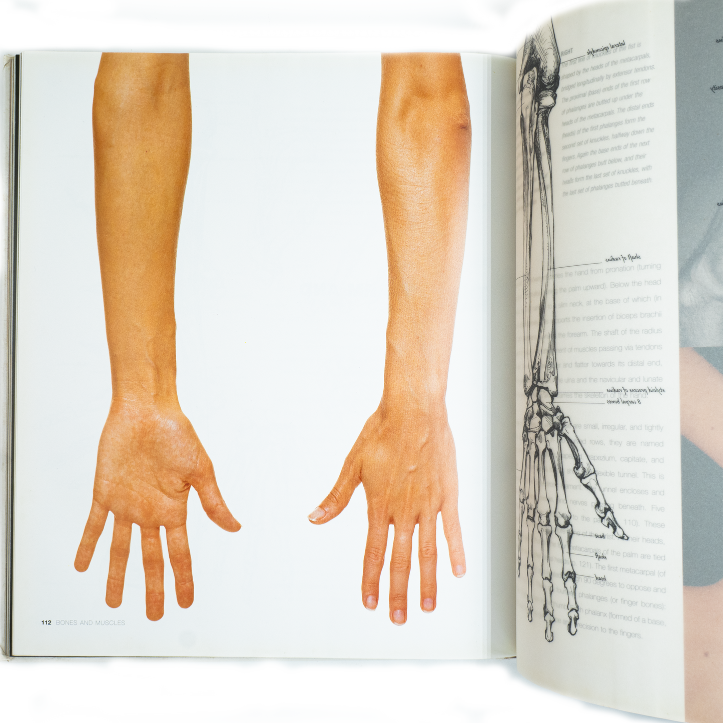 Anatomy for the Artist (Pre-Owned) Astra Store