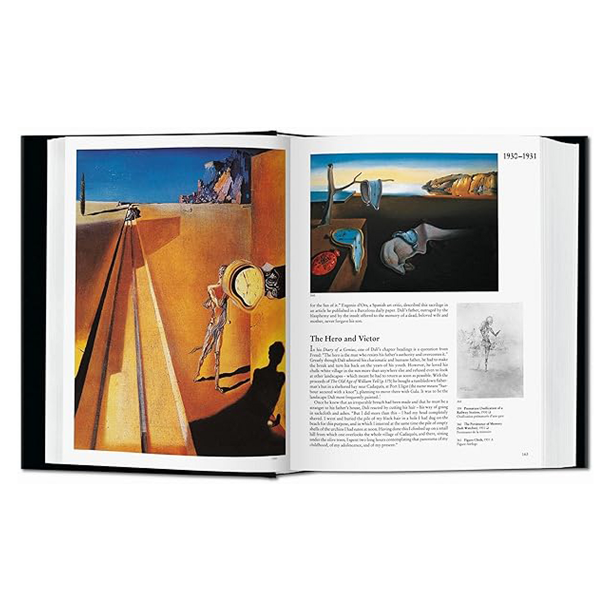 Dali. The Paintings Astra Store