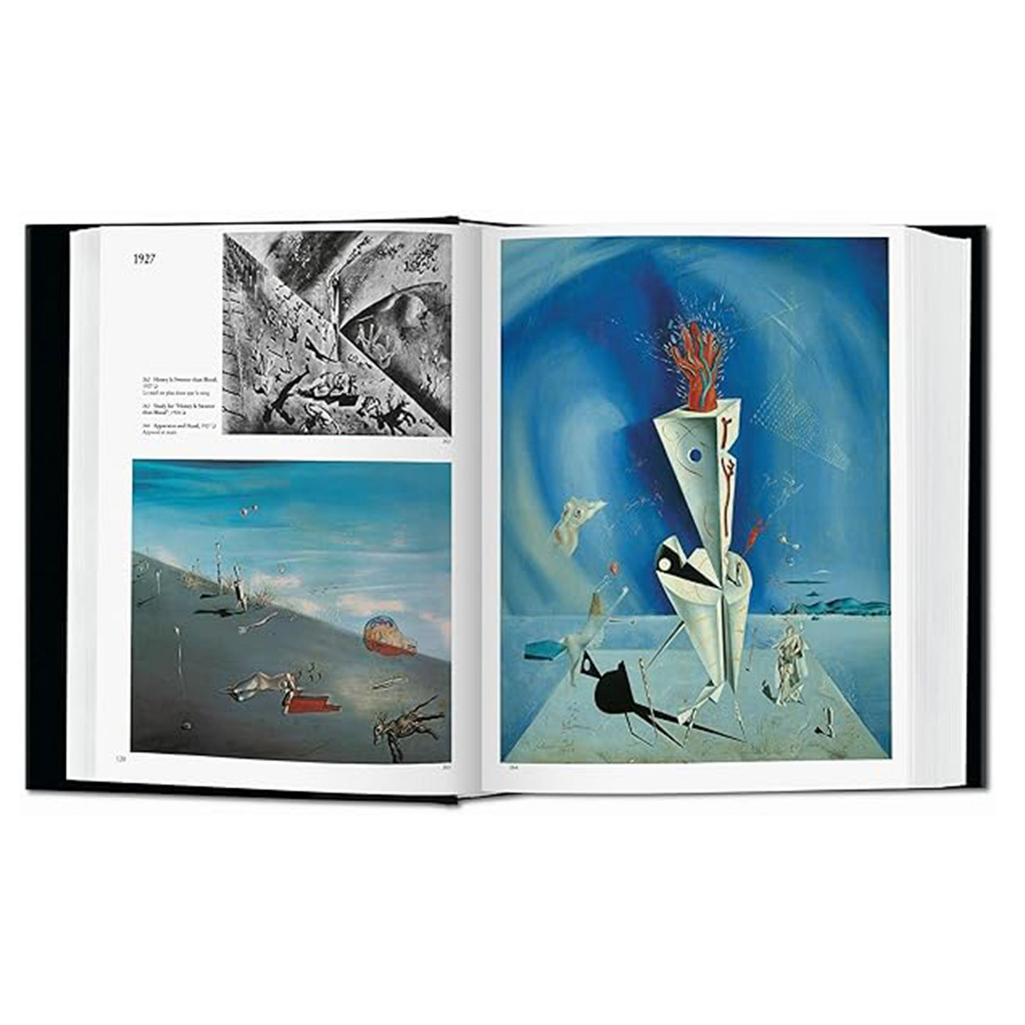 Dali. The Paintings Astra Store