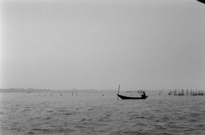 Astra Blackstar 250 35mm Black & White Film 36 Exp Astra Store