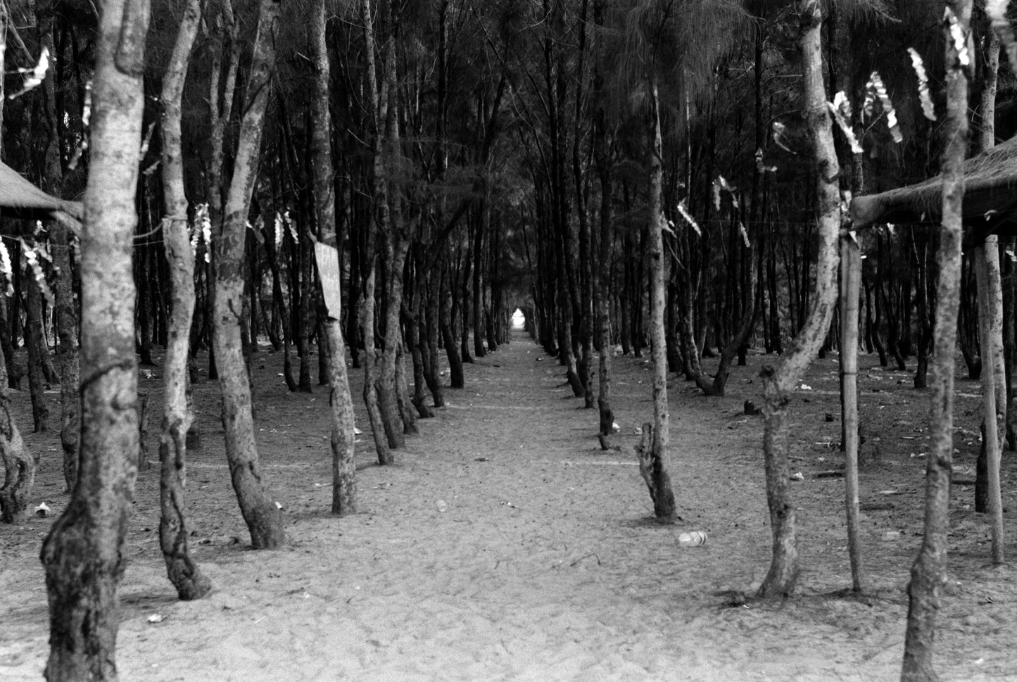 Astra Blackstar 250 35mm Black & White Film 36 Exp Astra Store