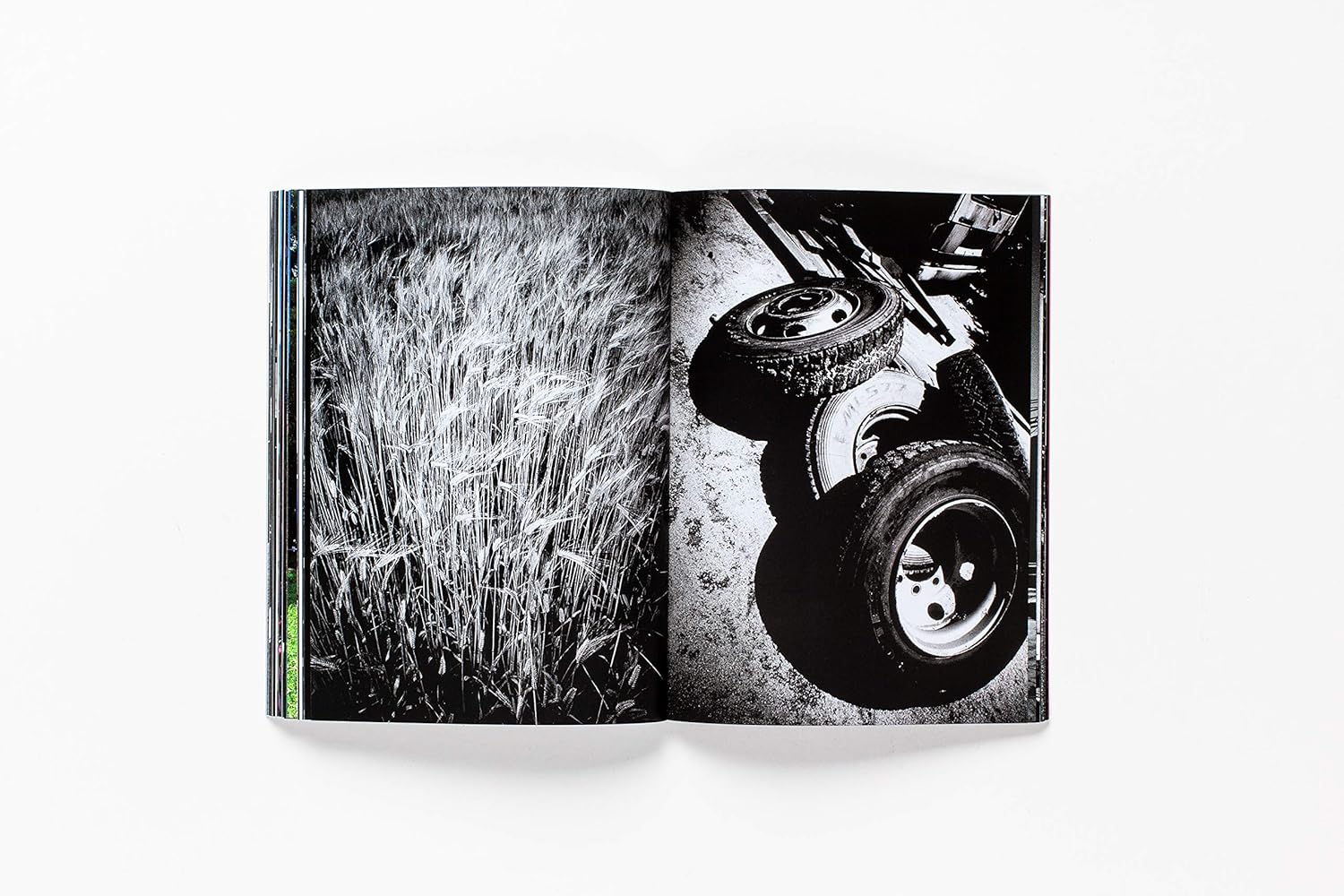 Daido Moriyama - How I take Photographs Astra Store