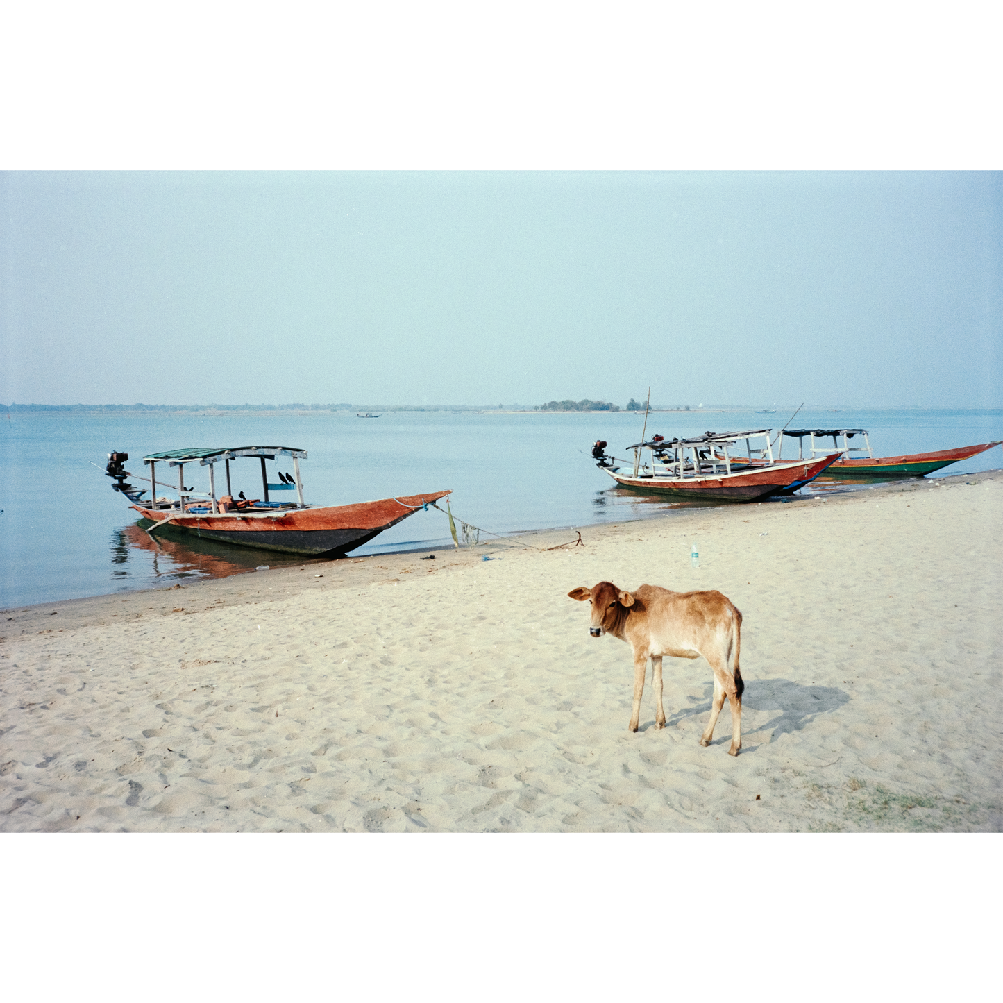 Astra Solaris 250 35mm Color Negative Film 36 Exp Astra Store