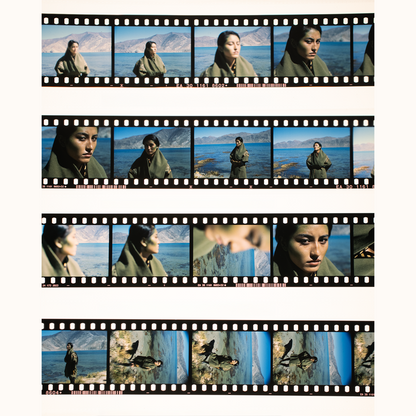 Astra Spectra 100 35mm Color Reversal Film 36 Exp Astra Store